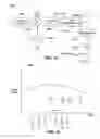 Fig. 14 - Systems and methods for forming a laser beam having a flat top