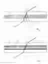 Fig. 02 - Laser element with laser-active medium
