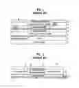 Fig. 02 - Nitride semiconductor laser diode and method for manufacturing the same