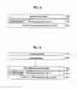 Fig. 03 - Nitride semiconductor laser diode and method for manufacturing the same