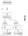 Fig. 11 - Digital signal conversion method and digital signal conversion device