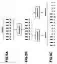 Fig. 10 - Information processing apparatus and method, and program storage medium