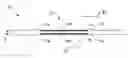 Fig. 01 - Surface deformation electroactive polymer transducers