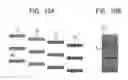 Fig. 09 - Image processing apparatus and method, and storage medium therefor