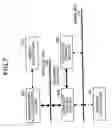 Fig. 08 - Image processor