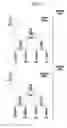 Fig. 08 - Method and apparatus for reproducing scalable video streams