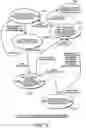 Fig. 13 - Data transfer control device and electronic equipment