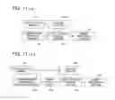 Fig. 12 - Image forming apparatus in which recording sheet having tab is used