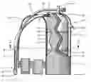 Fig. 01 - Diving tank pocket buoyancy compensator with adjustable pressure valve