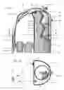 Fig. 02 - Diving tank pocket buoyancy compensator with adjustable pressure valve