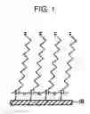 Fig. 02 - Substrate for use in crystallization and method for producing the same