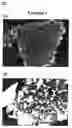 Fig. 02 - Composite powder, cosmetics containing the same, and process for producing composite powder