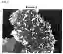 Fig. 03 - Composite powder, cosmetics containing the same, and process for producing composite powder
