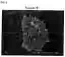 Fig. 07 - Composite powder, cosmetics containing the same, and process for producing composite powder