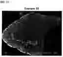 Fig. 22 - Composite powder, cosmetics containing the same, and process for producing composite powder