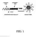 Fig. 02 - Pharmaceutical applications of hydrotropic polymer micelles