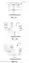 Fig. 02 - Methods, compositions and devices for embolizing body lumens