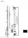 Fig. 02 - Negative-sense RNA virus vector for nerve cell