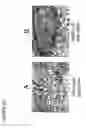 Fig. 24 - Method of reducing angiogenesis
