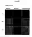 Fig. 08 - Compositions and methods for systemic nucleic acid sequence delivery