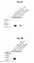 Fig. 03 - Methods and means to promote gut absorption
