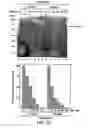 Fig. 03 - Methods for diagnosing and treating autoimmune disease