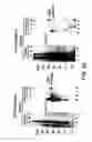 Fig. 06 - Methods for diagnosing and treating autoimmune disease