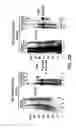 Fig. 07 - Methods for diagnosing and treating autoimmune disease