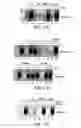 Fig. 22 - Methods for diagnosing and treating autoimmune disease