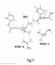 Fig. 07 - Humanized antibodies to CD38