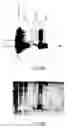 Fig. 09 - Proteins with IL-6 inhibiting activity