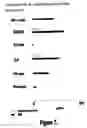 Fig. 08 - Method and composition for producing a cellular allogeneic vaccine
