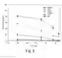 Fig. 08 - Novel phytol derived immunoadjuvants and their use in vaccine formulations