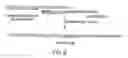 Fig. 07 - Synthetic conjugate of CpG DNA and T-help/CTL peptide