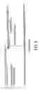 Fig. 09 - Synthetic conjugate of CpG DNA and T-help/CTL peptide