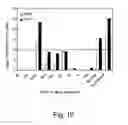 Fig. 43 - Multi plasmid system for the production of influenza virus