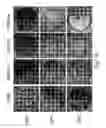 Fig. 51 - Multi plasmid system for the production of influenza virus
