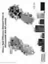 Fig. 58 - Multi plasmid system for the production of influenza virus