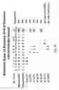 Fig. 60 - Multi plasmid system for the production of influenza virus