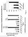 Fig. 61 - Multi plasmid system for the production of influenza virus