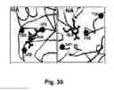 Fig. 72 - Multi plasmid system for the production of influenza virus