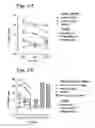 Fig. 04 - Prophylactic and therapeutic immunization against protozoan infection and disease