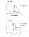 Fig. 05 - Prophylactic and therapeutic immunization against protozoan infection and disease