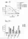 Fig. 08 - Prophylactic and therapeutic immunization against protozoan infection and disease