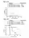 Fig. 17 - Prophylactic and therapeutic immunization against protozoan infection and disease