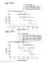 Fig. 19 - Prophylactic and therapeutic immunization against protozoan infection and disease