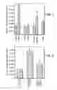 Fig. 02 - Tissue engineering scaffolds promoting martix protein production