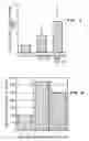 Fig. 03 - Tissue engineering scaffolds promoting martix protein production