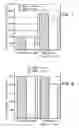 Fig. 05 - Tissue engineering scaffolds promoting martix protein production