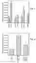 Fig. 02 - Tissue engineering scaffolds promoting matrix protein production